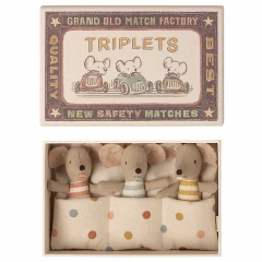 Souris Bébés Triplés