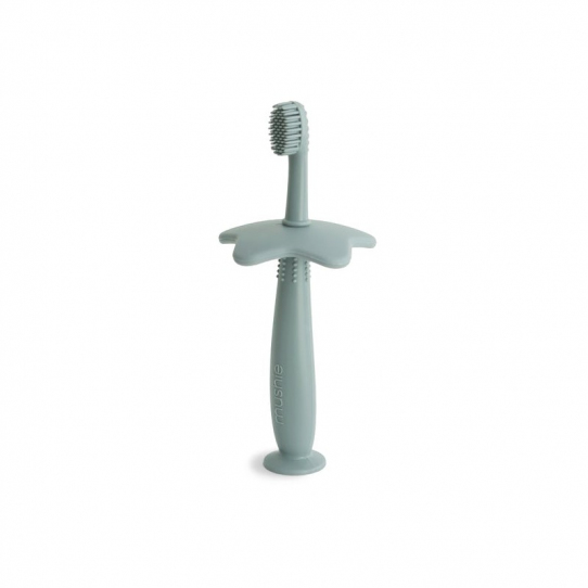 Brosse à dents - Star cambridge blue